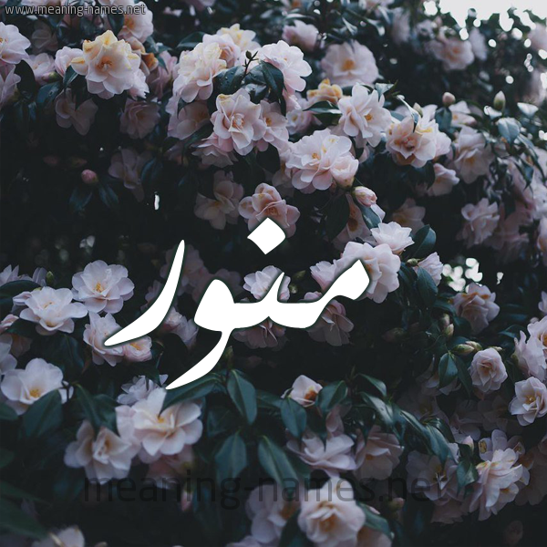 شكل 11 صوره ورود فل وياسمين للإسم بخط رقعة صورة اسم مُنَوَّر MONAOAR شكل 11 صوره ورود فل وياسمين للإسم بخط رقعة صورة اسم مُنَوَّر MONAOAR