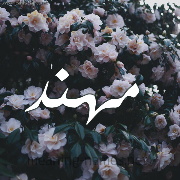 شكل 11 صوره ورود فل وياسمين للإسم بخط رقعة صورة اسم مُهَنَّد MOHANAD شكل 11 صوره ورود فل وياسمين للإسم بخط رقعة صورة اسم مُهَنَّد MOHANAD