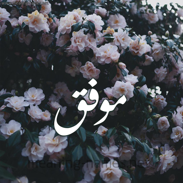 شكل 11 صوره ورود فل وياسمين للإسم بخط رقعة صورة اسم مُوَفَّق MOOAFAQ شكل 11 صوره ورود فل وياسمين للإسم بخط رقعة صورة اسم مُوَفَّق MOOAFAQ