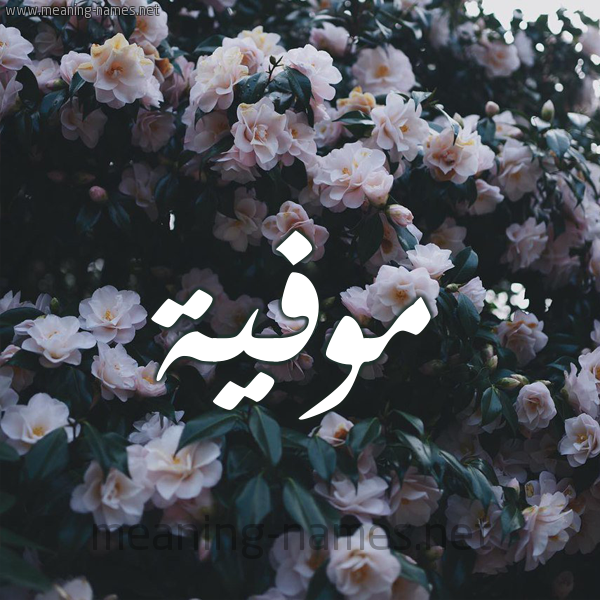 شكل 11 صوره ورود فل وياسمين للإسم بخط رقعة صورة اسم مُوَفِّية MOOAFEIH شكل 11 صوره ورود فل وياسمين للإسم بخط رقعة صورة اسم مُوَفِّية MOOAFEIH