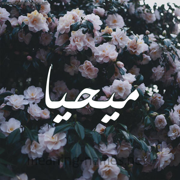 شكل 11 صوره ورود فل وياسمين للإسم بخط رقعة صورة اسم مُيحَيَّا Muhayya شكل 11 صوره ورود فل وياسمين للإسم بخط رقعة صورة اسم مُيحَيَّا Muhayya
