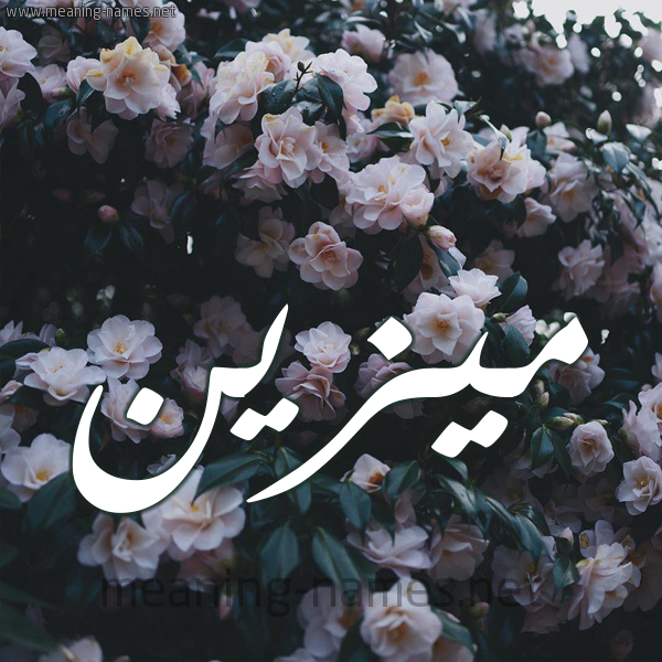 شكل 11 صوره ورود فل وياسمين للإسم بخط رقعة صورة اسم مُيزَيَّن Mozain شكل 11 صوره ورود فل وياسمين للإسم بخط رقعة صورة اسم مُيزَيَّن Mozain