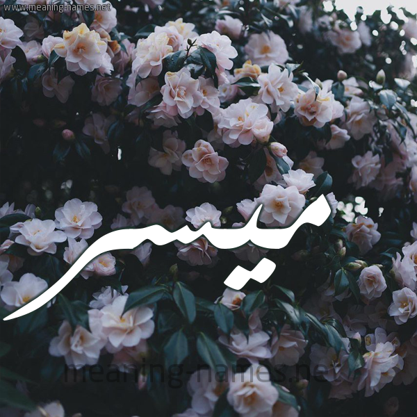 شكل 11 صوره ورود فل وياسمين للإسم بخط رقعة صورة اسم مُيَسَّر MOIASAR شكل 11 صوره ورود فل وياسمين للإسم بخط رقعة صورة اسم مُيَسَّر MOIASAR