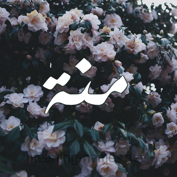 شكل 11 صوره ورود فل وياسمين للإسم بخط رقعة صورة اسم مِنَّة Menna شكل 11 صوره ورود فل وياسمين للإسم بخط رقعة صورة اسم مِنَّة Menna