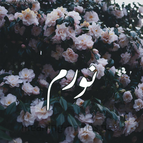 شكل 11 صوره ورود فل وياسمين للإسم بخط رقعة