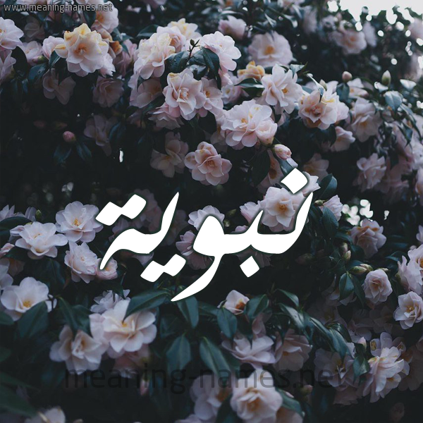 شكل 11 صوره ورود فل وياسمين للإسم بخط رقعة صورة اسم نَبَوِيَّة NABAOEIAH شكل 11 صوره ورود فل وياسمين للإسم بخط رقعة صورة اسم نَبَوِيَّة NABAOEIAH