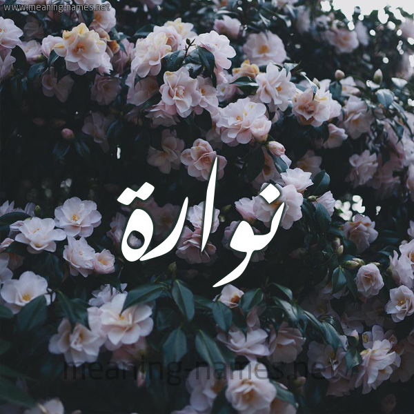 شكل 11 صوره ورود فل وياسمين للإسم بخط رقعة صورة اسم نُوَّارة NOOAARH شكل 11 صوره ورود فل وياسمين للإسم بخط رقعة صورة اسم نُوَّارة NOOAARH