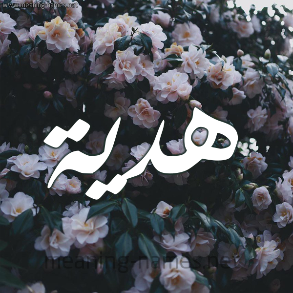 شكل 11 صوره ورود فل وياسمين للإسم بخط رقعة صورة اسم هديَّة HDIAH شكل 11 صوره ورود فل وياسمين للإسم بخط رقعة صورة اسم هديَّة HDIAH