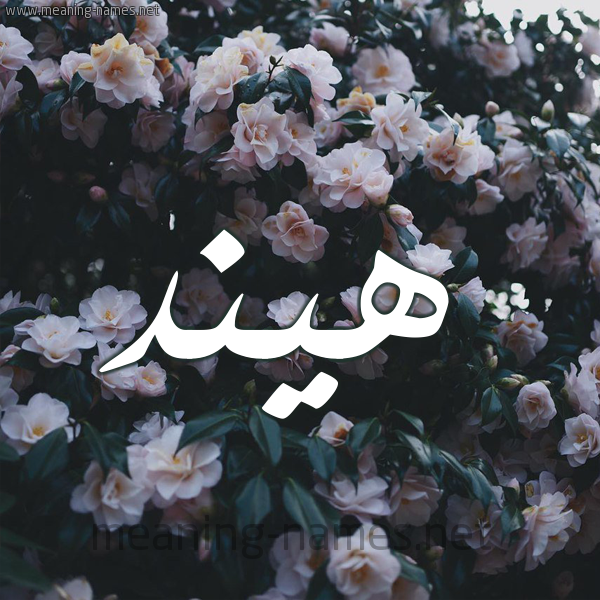 شكل 11 صوره ورود فل وياسمين للإسم بخط رقعة صورة اسم هيند Hend