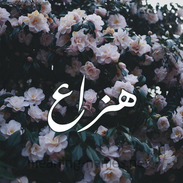شكل 11 صوره ورود فل وياسمين للإسم بخط رقعة صورة اسم هَزَّاع HAZAAA شكل 11 صوره ورود فل وياسمين للإسم بخط رقعة صورة اسم هَزَّاع HAZAAA