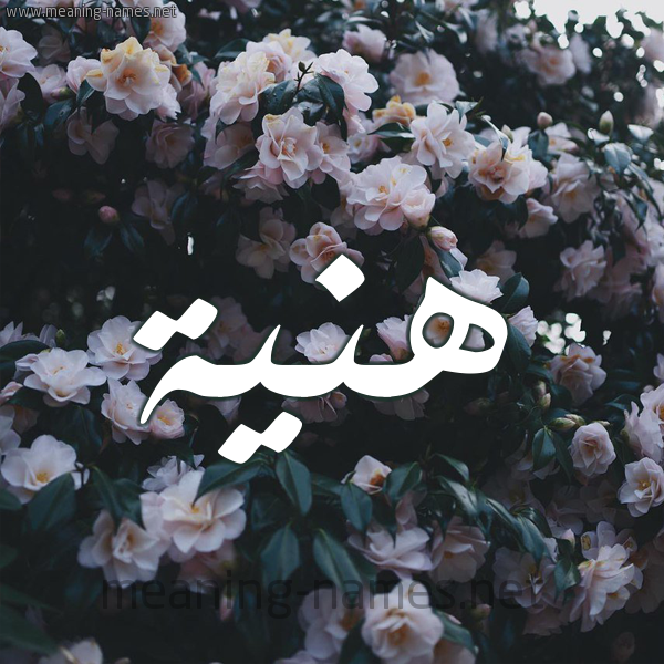شكل 11 صوره ورود فل وياسمين للإسم بخط رقعة صورة اسم هَنِيَّة HANEIAH شكل 11 صوره ورود فل وياسمين للإسم بخط رقعة صورة اسم هَنِيَّة HANEIAH