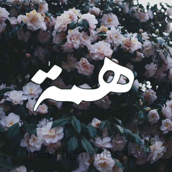 شكل 11 صوره ورود فل وياسمين للإسم بخط رقعة صورة اسم هِمَّة HEMAH شكل 11 صوره ورود فل وياسمين للإسم بخط رقعة صورة اسم هِمَّة HEMAH