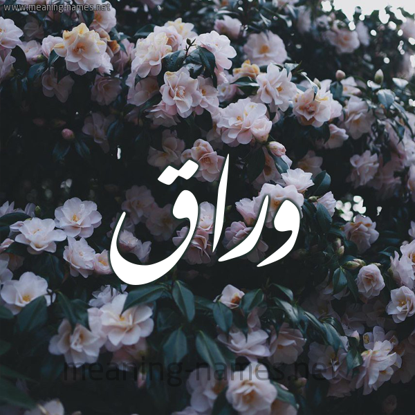 شكل 11 صوره ورود فل وياسمين للإسم بخط رقعة صورة اسم وَرَّاق OARAAQ شكل 11 صوره ورود فل وياسمين للإسم بخط رقعة صورة اسم وَرَّاق OARAAQ