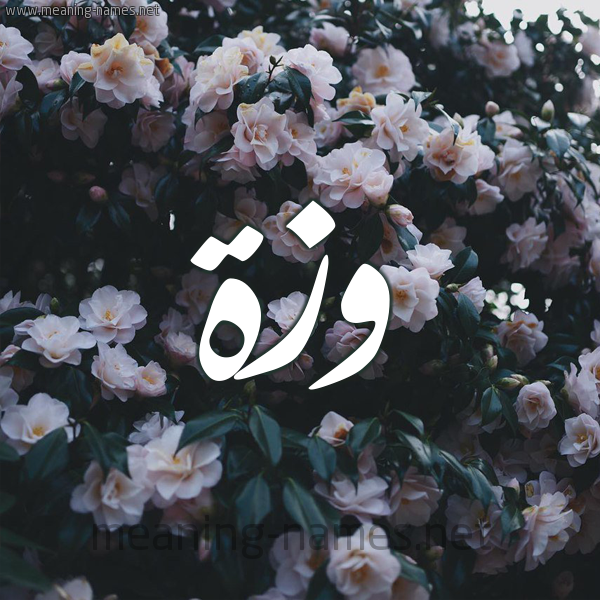 شكل 11 صوره ورود فل وياسمين للإسم بخط رقعة صورة اسم وَزَّة OAZAH شكل 11 صوره ورود فل وياسمين للإسم بخط رقعة صورة اسم وَزَّة OAZAH