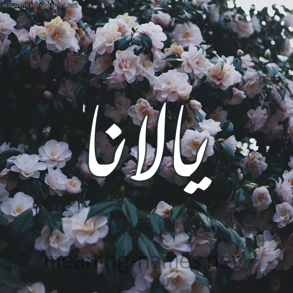 شكل 11 صوره ورود فل وياسمين للإسم بخط رقعة صورة اسم يالانا Alana