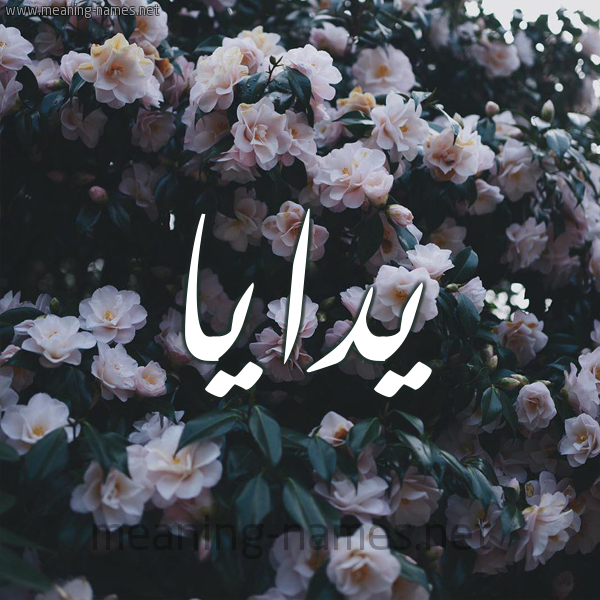شكل 11 صوره ورود فل وياسمين للإسم بخط رقعة صورة اسم يدايا Daya