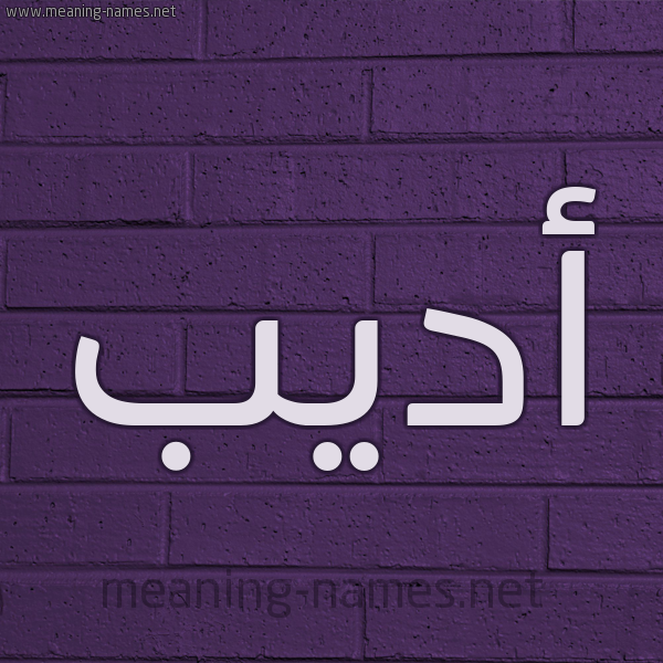 شكل 12 الإسم على الحائط الجداري صورة اسم أديب Adib