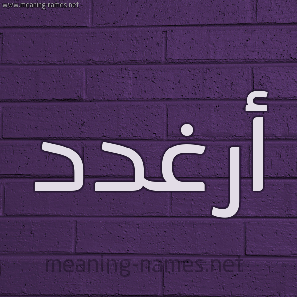 شكل 12 الإسم على الحائط الجداري صورة اسم أرغدد Arghad