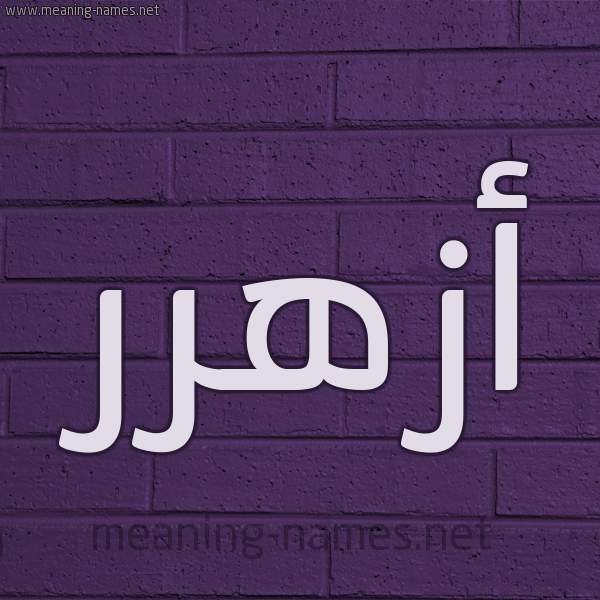 شكل 12 الإسم على الحائط الجداري صورة اسم أزهرر Azhar