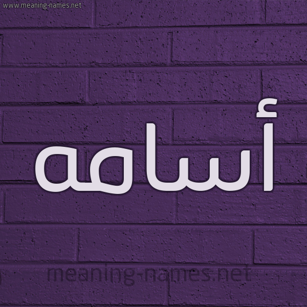 شكل 12 الإسم على الحائط الجداري صورة اسم أسامه ASAMH
