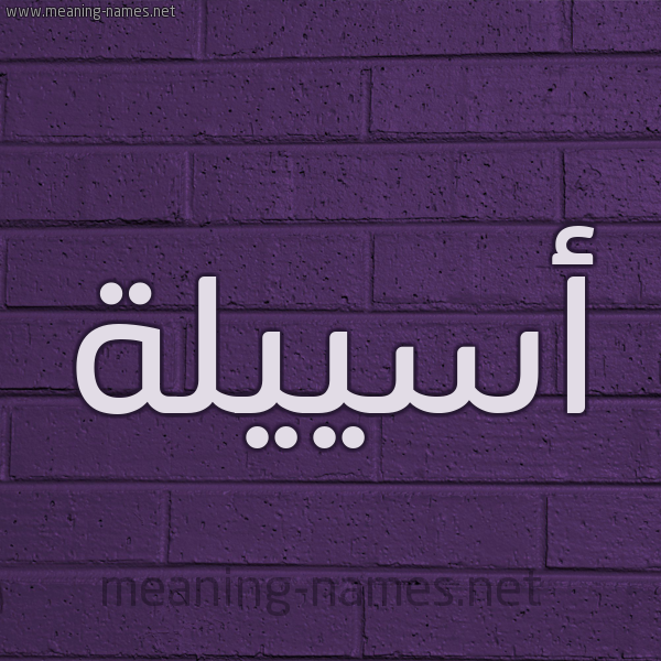 شكل 12 الإسم على الحائط الجداري صورة اسم أسييلة Aseela