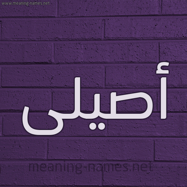 شكل 12 الإسم على الحائط الجداري صورة اسم أصيلى Aseel