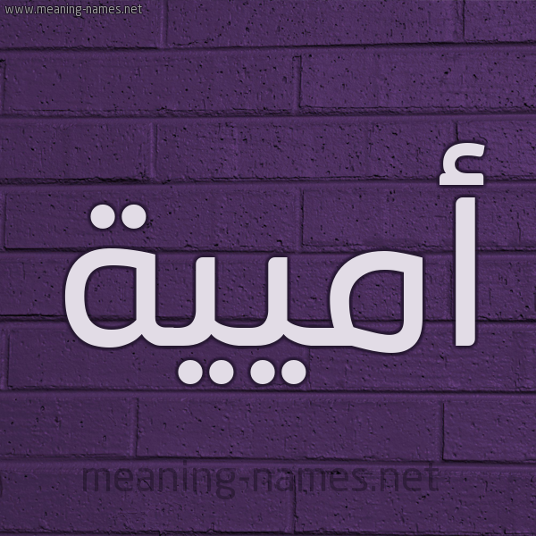شكل 12 الإسم على الحائط الجداري صورة اسم أميية Umayyah