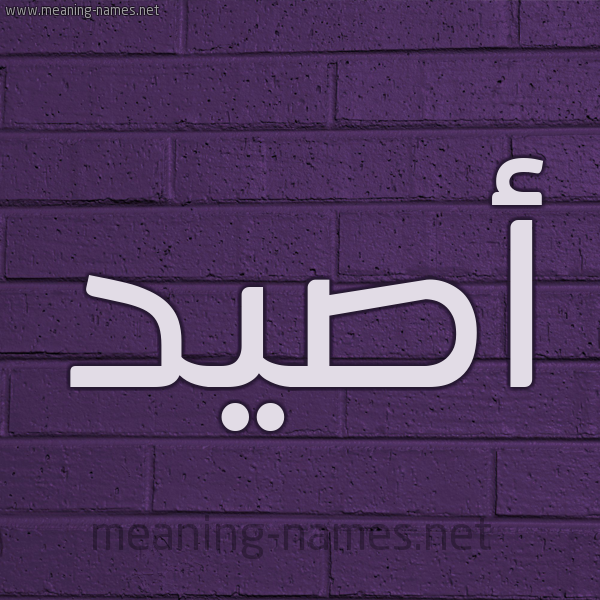 شكل 12 الإسم على الحائط الجداري صورة اسم أَصْيَد AASIAD