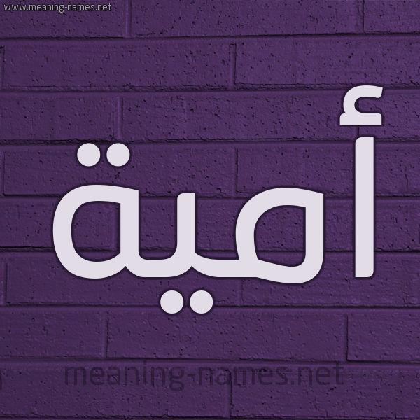 شكل 12 الإسم على الحائط الجداري صورة اسم أُمَيَّة AOMAIAH شكل 12 الإسم على الحائط الجداري صورة اسم أُمَيَّة AOMAIAH