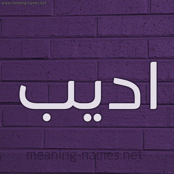 شكل 12 الإسم على الحائط الجداري صورة اسم اديب Adib