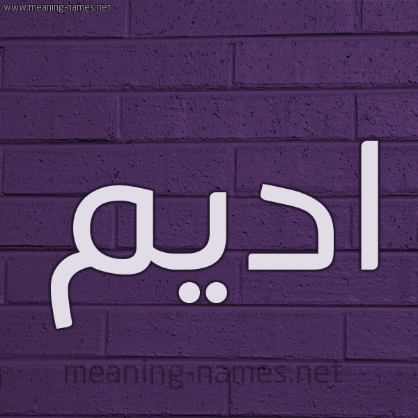 شكل 12 الإسم على الحائط الجداري صورة اسم اديم Adim