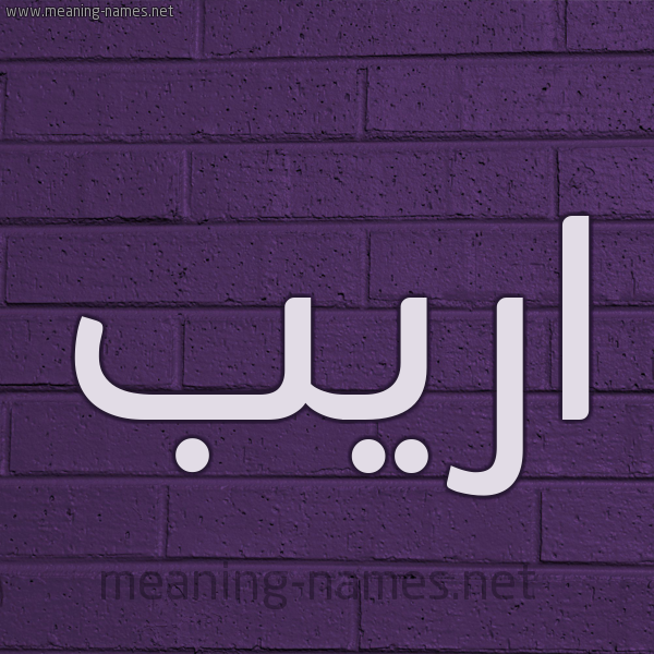 شكل 12 الإسم على الحائط الجداري صورة اسم اريب Arib