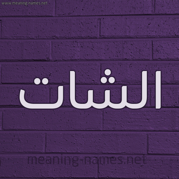 شكل 12 الإسم على الحائط الجداري صورة اسم الشات alshat
