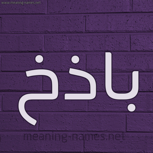 شكل 12 الإسم على الحائط الجداري صورة اسم باذخ Badhkh
