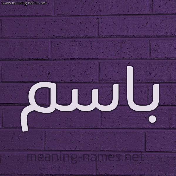 شكل 12 الإسم على الحائط الجداري صورة اسم باسم Bassem