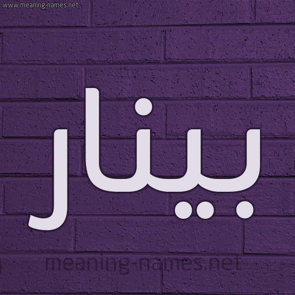 شكل 12 الإسم على الحائط الجداري صورة اسم بينار Pinar