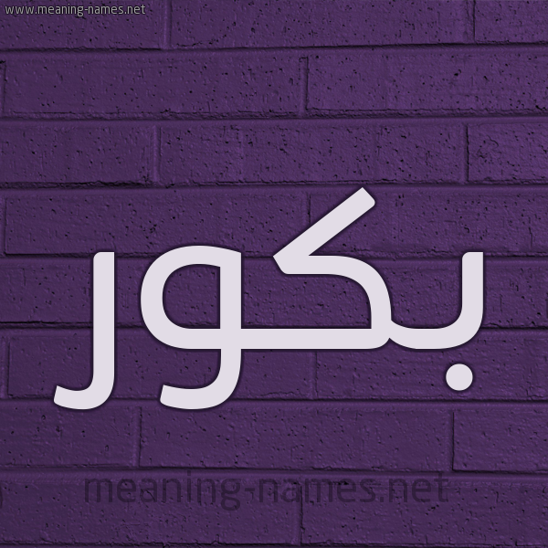 شكل 12 الإسم على الحائط الجداري صورة اسم بَكُّور BAKOOR شكل 12 الإسم على الحائط الجداري صورة اسم بَكُّور BAKOOR