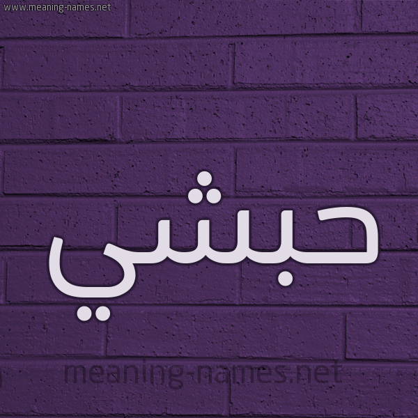 شكل 12 الإسم على الحائط الجداري صورة اسم حبشي Habshi
