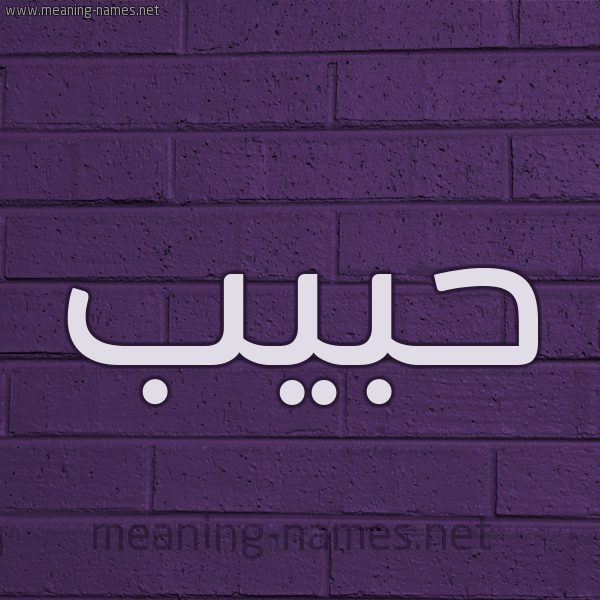 شكل 12 الإسم على الحائط الجداري صورة اسم حبيب Habib