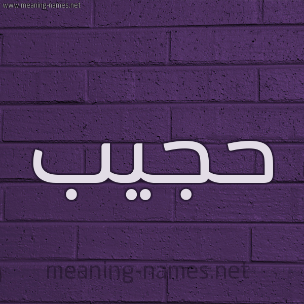 شكل 12 الإسم على الحائط الجداري صورة اسم حجيب HAJIB