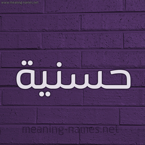 شكل 12 الإسم على الحائط الجداري صورة اسم حسنية Hassania