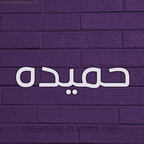 شكل 12 الإسم على الحائط الجداري صورة اسم حميده Hameda