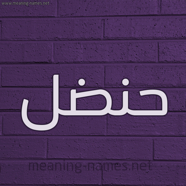 شكل 12 الإسم على الحائط الجداري صورة اسم حنضل HNDL
