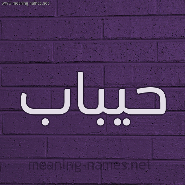 شكل 12 الإسم على الحائط الجداري صورة اسم حيباب Habbab