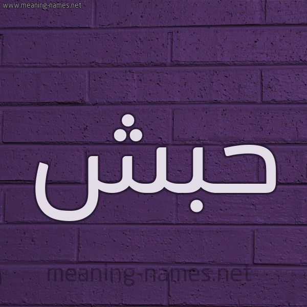 شكل 12 الإسم على الحائط الجداري صورة اسم حَبَش HABASH