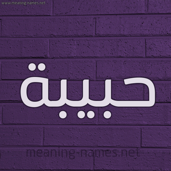 شكل 12 الإسم على الحائط الجداري صورة اسم حَبِيبة habeba
