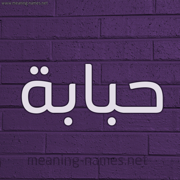شكل 12 الإسم على الحائط الجداري صورة اسم حَبّابة HABABH