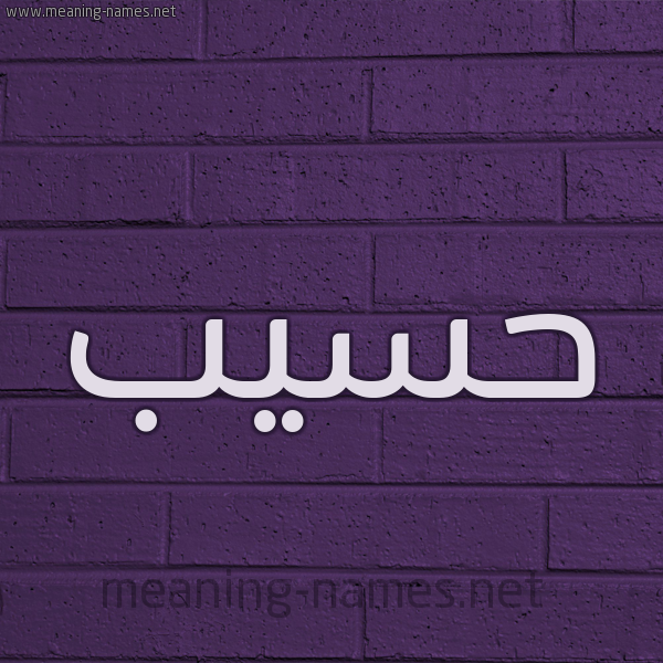 شكل 12 الإسم على الحائط الجداري صورة اسم حَسِيب HASEIB
