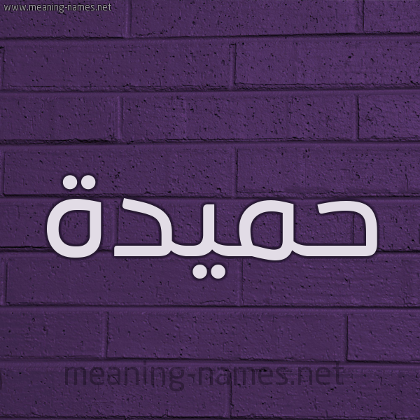شكل 12 الإسم على الحائط الجداري صورة اسم حَميدة Hamida