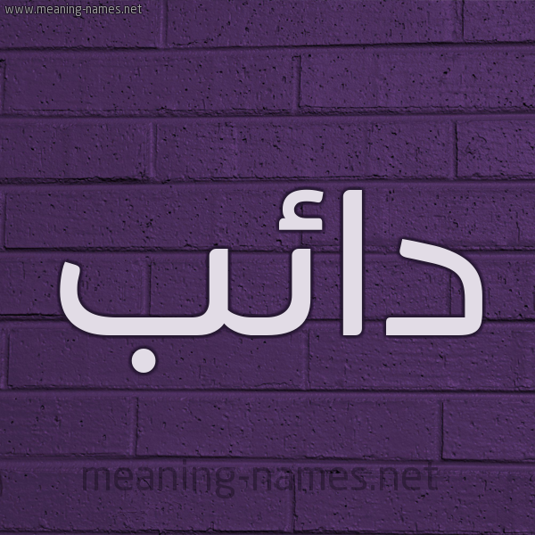 شكل 12 الإسم على الحائط الجداري صورة اسم دائب DAEB
